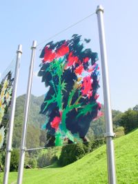 Blumenbilder auf Acrylglas in den Schweizer Alpen